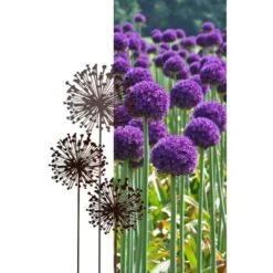 Allium Ø 30 Cm - Decoroest