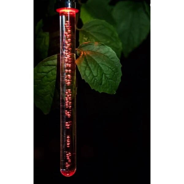 Lichtstick bubbels solar Lichtstick Bubbels Solar -Tuin Serie Winkel 1536934105 1 600