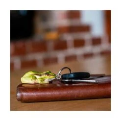 Sleutelhanger Boomkikker In Hout 4 Sleutelhanger Boomkikker In Hout -Tuin Serie Winkel 1593505844 3 600