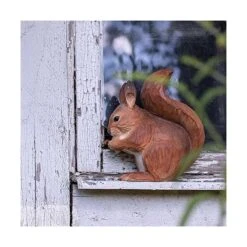 Rode Eekhoorn In Lindenhout - Handgemaakt -Tuin Serie Winkel 1611328813 3 600