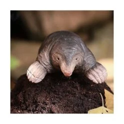 Europese Mol In Lindenhout - Handgemaakt -Tuin Serie Winkel 1611665886 3 600