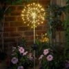 Tuinlicht Star Burst Stake - Solar -Tuin Serie Winkel 1649854463 1 600