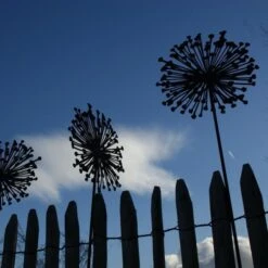 Allium Ø 30 Cm - Decoroest -Tuin Serie Winkel allium 30 cm decoroest 1512145830 2 600