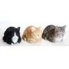 Poes Dromend - Levensecht 1 Poes Dromend - Levensecht -Tuin Serie Winkel dromerige poes levensecht 1484061772 1 600