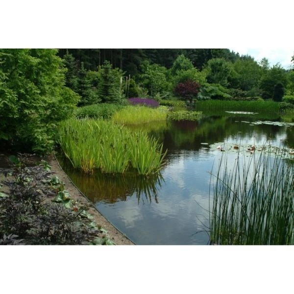 Ecoo tuin- of vijverafboording Ecolat 14 cm - 10 m grijs Ecoo Tuin- Of Vijverafboording Ecolat 14 Cm - 10 M Grijs -Tuin Serie Winkel ecolat 10 m 1484063064 4 600