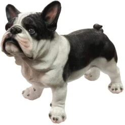 Franse Bulldog Tuinbeeld -Tuin Serie Winkel franse buldog 1569316708 1 600