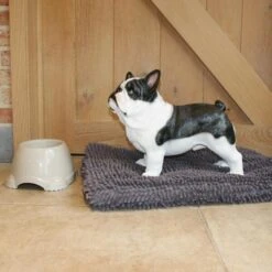 Franse Bulldog Tuinbeeld -Tuin Serie Winkel franse buldog 1569511065 1 600