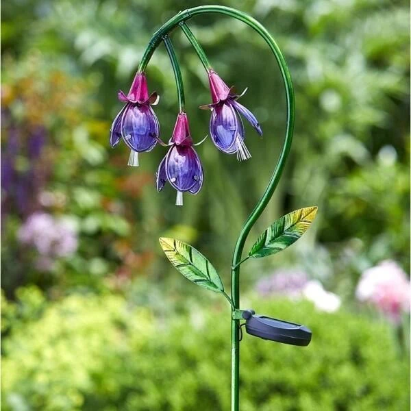 Fuchsia als solar tuinlamp Fuchsia Als Solar Tuinlamp -Tuin Serie Winkel fuchsia als solar tuinlamp 1527684539 1 600
