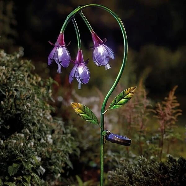 Fuchsia als solar tuinlamp Fuchsia Als Solar Tuinlamp -Tuin Serie Winkel fuchsia als solar tuinlamp 1527684539 2 600