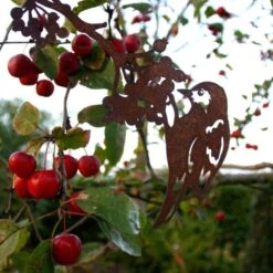 Goudvink Op Tak Lijsterbes -Tuin Serie Winkel goudvink op tak lijsterbes 1510652971 1 600