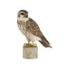 Houten Vogel - Smelleken -Tuin Serie Winkel houten smelleken 1613054629 1 600