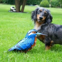 Ijsvogel In Metaal 30 × 10 × 18 Cm -Tuin Serie Winkel ijsvogel in metaal 30 x 10 x 18 cm 1501570708 3 600