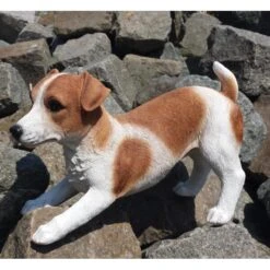 Speelse Jack Russel Levensecht Tuinbeeld -Tuin Serie Winkel jack russel speels levensecht 1531395381 2 600