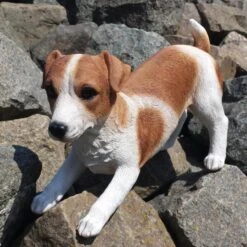 Speelse Jack Russel Levensecht Tuinbeeld -Tuin Serie Winkel jack russel speels levensecht 1531395381 3 600