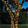 Lichtslinger Mini Led Lampjes - Solar 1 Lichtslinger Mini Led Lampjes - Solar -Tuin Serie Winkel lichtslinger mini led lampjes 1548948056 1 600