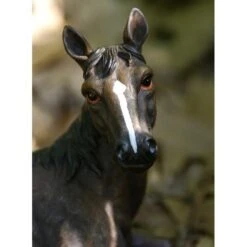 Liggend Paard Met Veulen - Levensecht -Tuin Serie Winkel liggend paard met veulen levensecht 1484061235 3 600