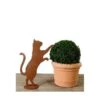 Nieuwsgierige Kat - Decoroest -Tuin Serie Winkel nieuwsgierige kat decoroest 1639659762 1 600