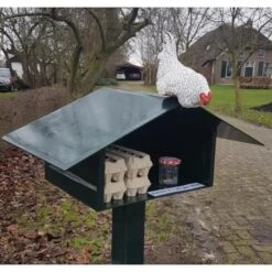 Nieuwsgierige Kip Tuinbeeld 6 Nieuwsgierige Kip Tuinbeeld -Tuin Serie Winkel nieuwsgierige kip 1609930328 1 600