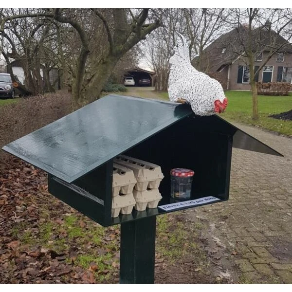 Nieuwsgierige kip tuinbeeld Nieuwsgierige Kip Tuinbeeld -Tuin Serie Winkel nieuwsgierige kip 1609930328 1 600