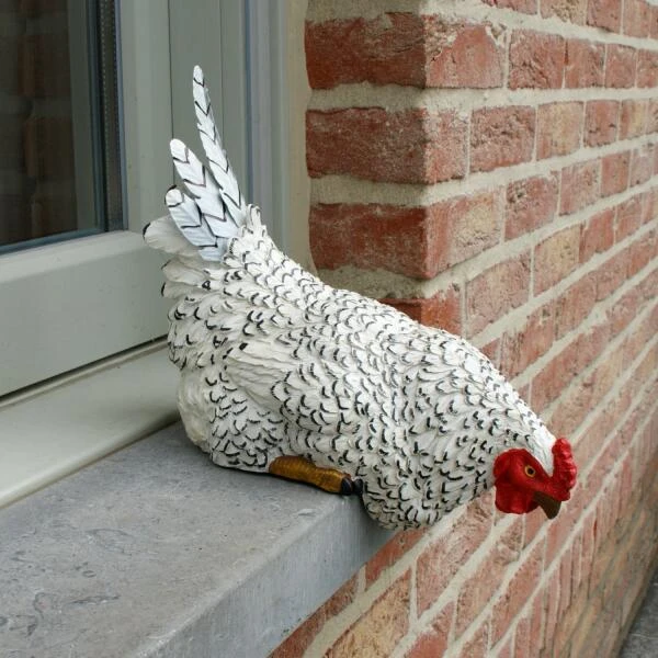 Nieuwsgierige kip tuinbeeld Nieuwsgierige Kip Tuinbeeld -Tuin Serie Winkel nieuwsgierige tafelkip 1568377837 1 600