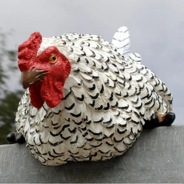 Nieuwsgierige kip tuinbeeld Nieuwsgierige Kip Tuinbeeld -Tuin Serie Winkel nieuwsgierige tafelkip 1568377839 2 600