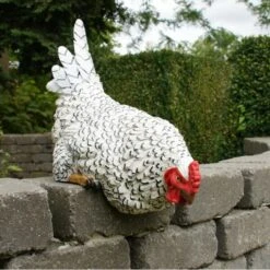 Nieuwsgierige Kip Tuinbeeld 4 Nieuwsgierige Kip Tuinbeeld -Tuin Serie Winkel nieuwsgierige tafelkip 1568377839 3 600