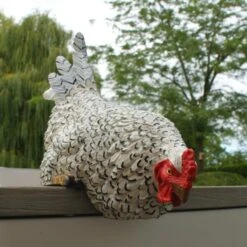 Nieuwsgierige Kip Tuinbeeld 5 Nieuwsgierige Kip Tuinbeeld -Tuin Serie Winkel nieuwsgierige tafelkip 1568377840 5 600