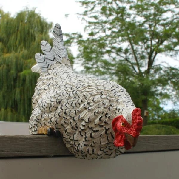 Nieuwsgierige kip tuinbeeld Nieuwsgierige Kip Tuinbeeld -Tuin Serie Winkel nieuwsgierige tafelkip 1568377840 5 600