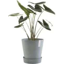 ECOPOTS Amsterdam Onderschotel Op Wielen - Blauwgrijs Ø 41,60 Cm -Tuin Serie Winkel onderschotel amsterdam wheels blauwgrijs 4160 cm 1600778963 2 600