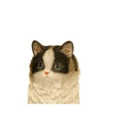 Prachtig Katje - Beeld -Tuin Serie Winkel perzische kat levensecht 1484056610 2 600