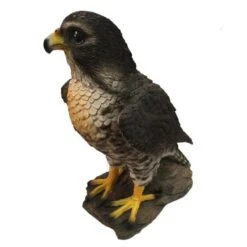 Valk Tuinbeeld 26 Cm -Tuin Serie Winkel valk tuinbeeld 1568967776 2 600