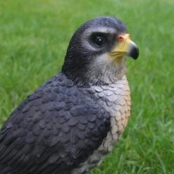 Valk Tuinbeeld 26 Cm -Tuin Serie Winkel valk tuinbeeld 1569494205 3 600