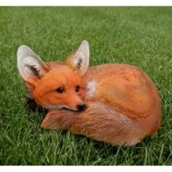 Vos Liggend -Tuin Serie Winkel vos liggend 1569416942 1 600