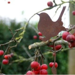 Winterkoninkje Zittend Decoroest -Tuin Serie Winkel winterkoninkje zittend decoroest 1516114735 2 600